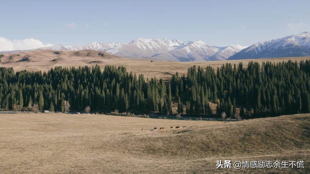 hiv阳性确诊后需要检查啥,确诊hiv阳性就是艾滋病吗