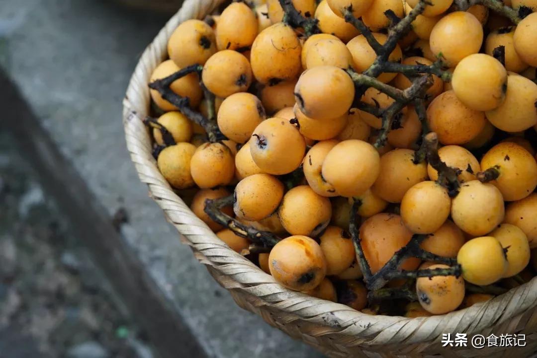 润肺去燥枇杷膏,枇杷黄冰糖枇杷膏