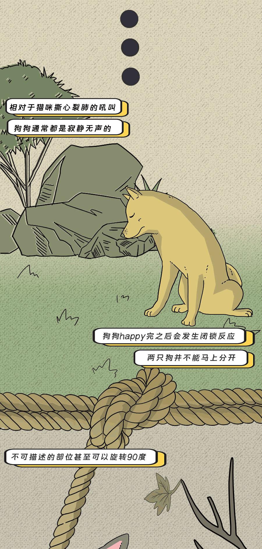 论啪啪啪，人类可比不上它们……