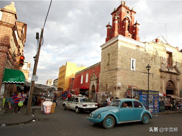 在这里你可以看到绚烂多彩的甲壳虫,因为他们是这里的精灵