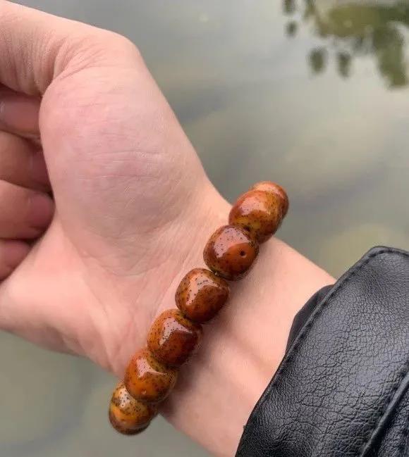 星月菩提盘玉化后效果,星月菩提全玉化和微玉化