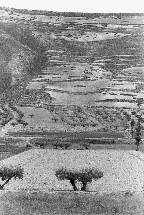 布列松摄影艺术书,布列松经典摄影作品解读