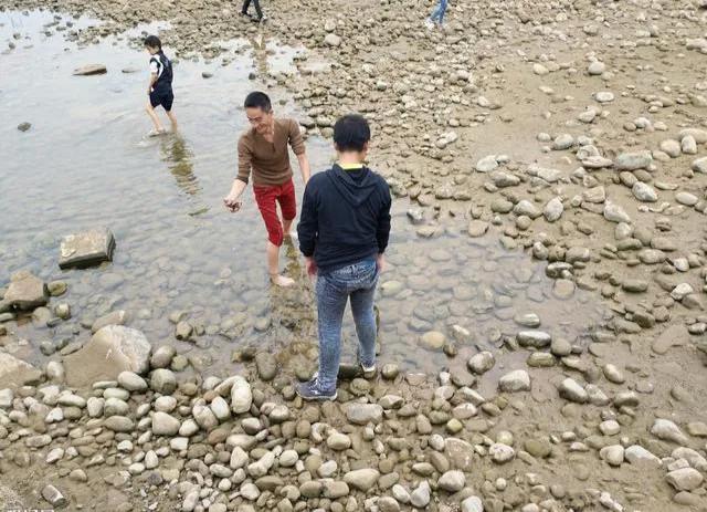 虾稻田怎样放地笼,地笼放河虾要注意什么