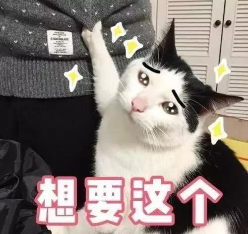 泰国买东西退税怎么退,在泰国购物如何退税