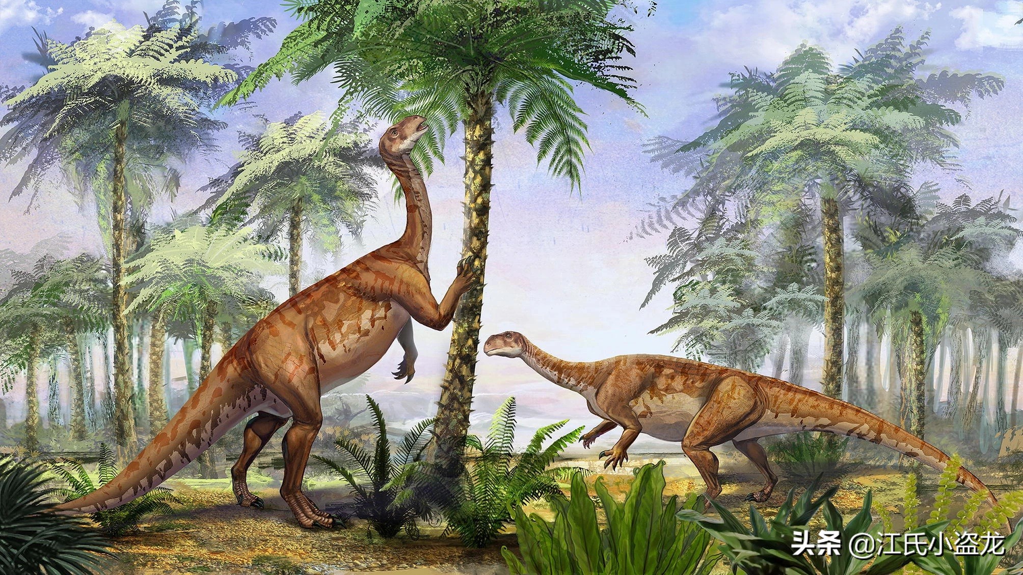 古生物学家发现恐龙新物种,古生物专家介绍侏罗纪