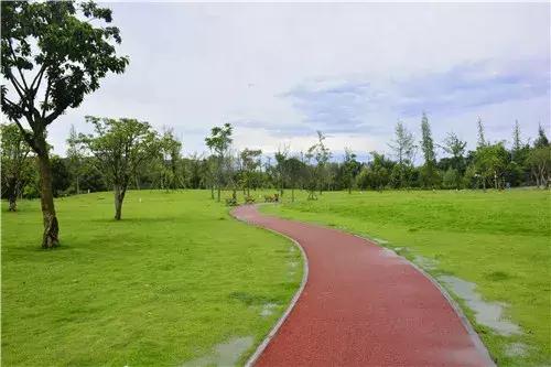 双流金马河绿道建设开始招标没有,成都双流空港绿道