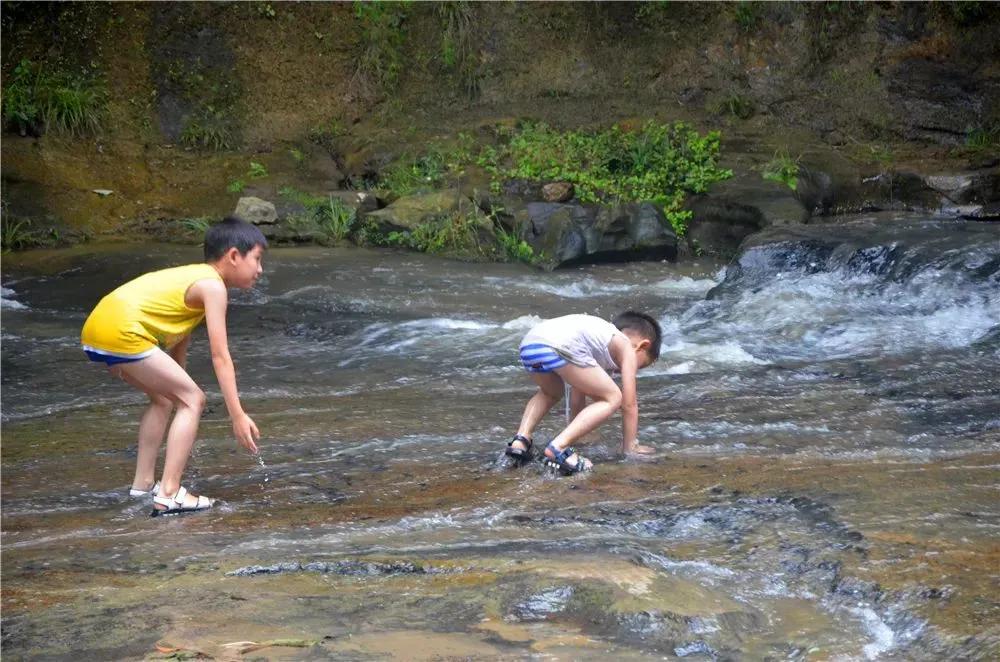 四川避暑康养最佳地是哪里,四川冷门避暑胜地亲子游2-3天