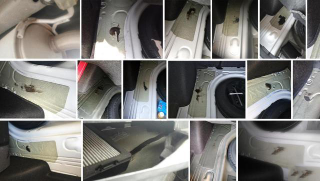 大众宝来刚买回来两年就自燃,大众宝来自燃怎么回事