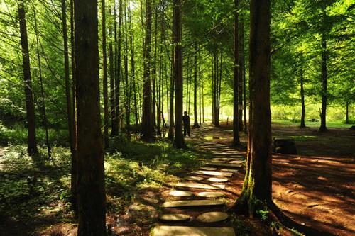 春天重庆区县景点,重庆网红景点区县
