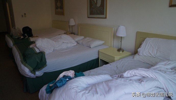 以色列约旦繁星之旅,约旦以色列之旅