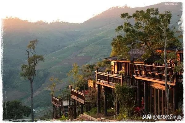 男女主双颜值在线的番,男女主双商都高的电视剧