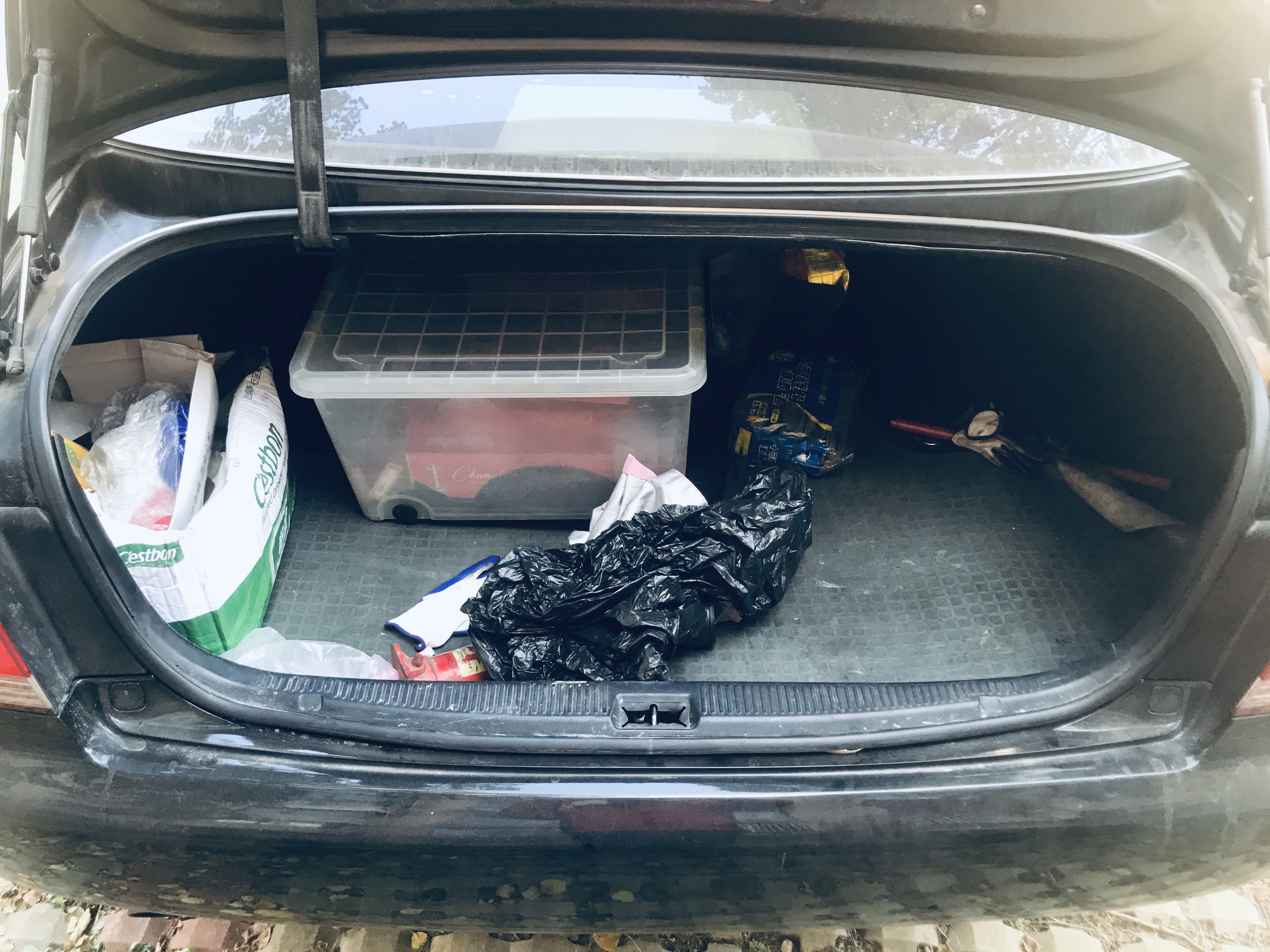 意外收获巨无霸,意外收获超级加倍名牌