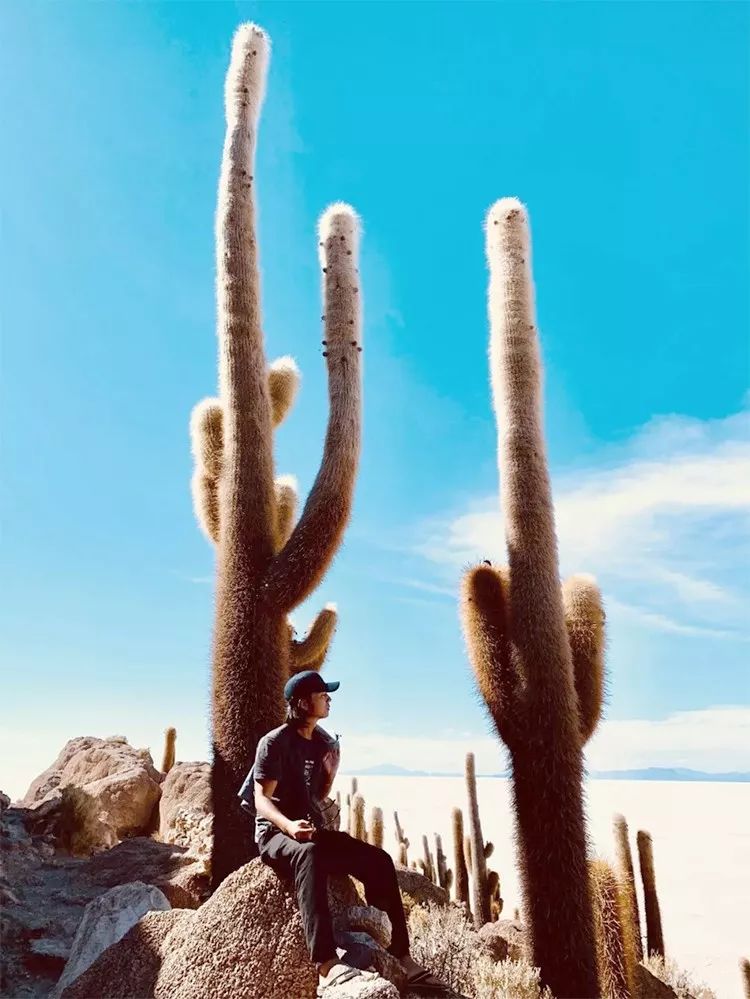 「东郊」5万人民币能干嘛？而我却能带你周游世界！