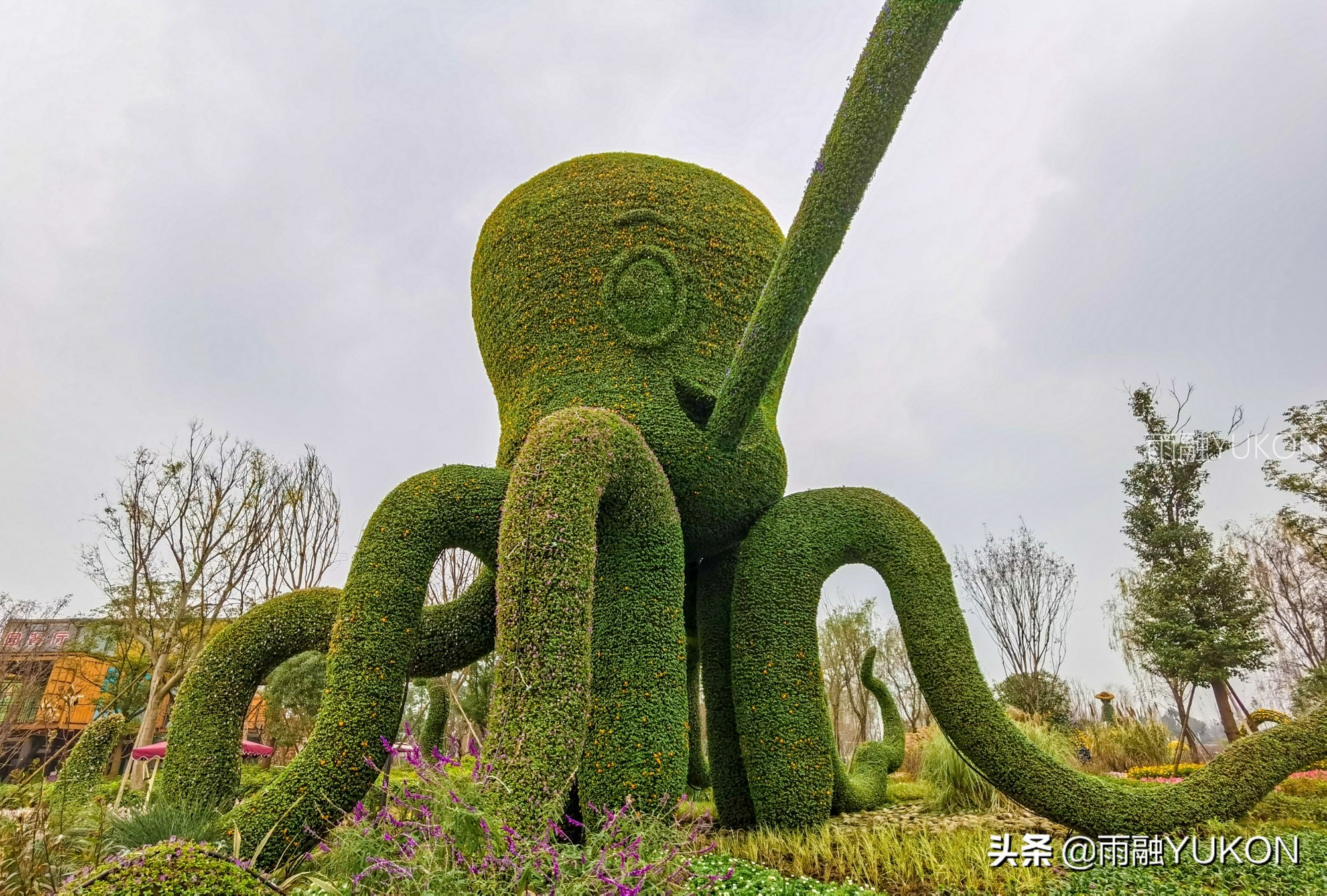 坐拥2项世界纪录的公园：拥有2.2万平米花海，门票仅30元却少有知