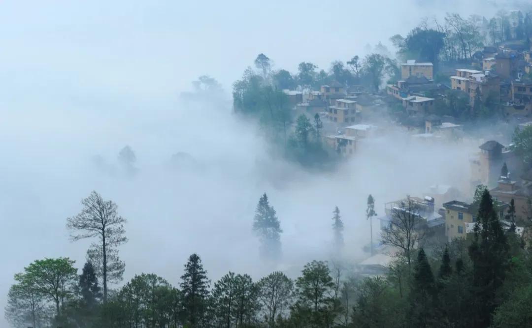 一生必背50首宋诗,一生必背60首宋诗大全