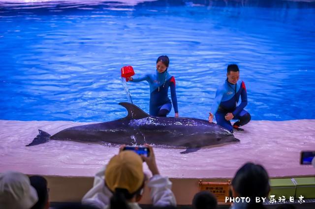 珠海亲子游必玩景点,珠海一日游适合带孩子玩的景点