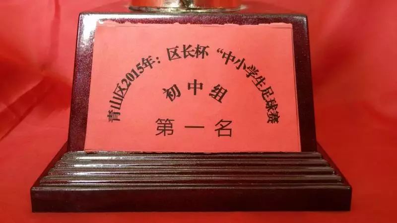 第十四届全运会足球第一名,二中足球队冠军