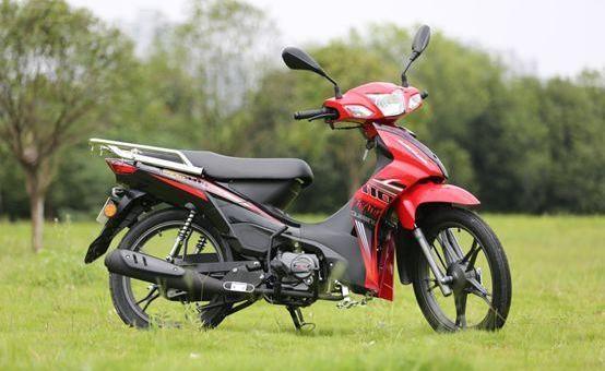 现在国产的弯梁车哪些比较实用,国产大排量弯梁