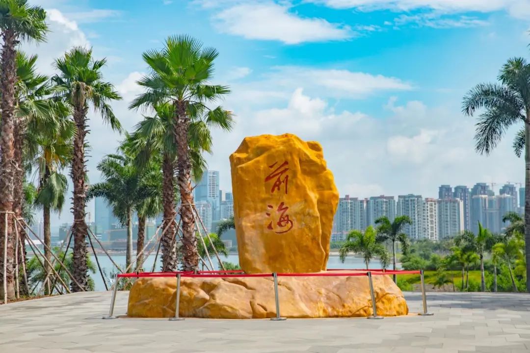 深圳前海学校,深圳前海新规划学校