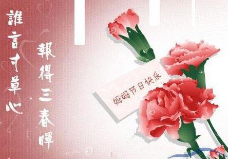 母亲节表情包,母亲节康乃馨视频完整版