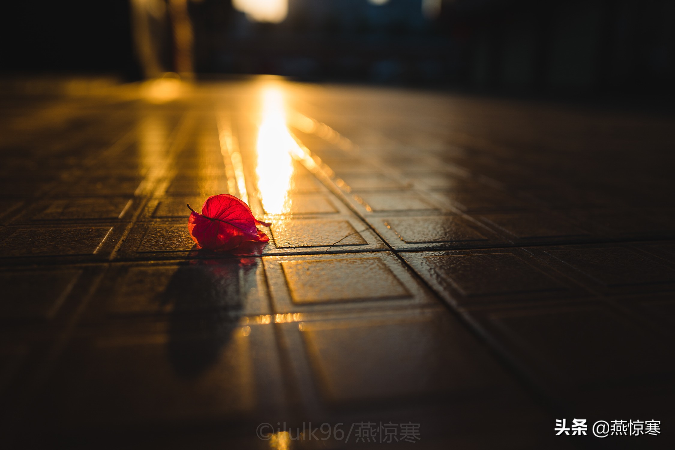 徕卡最值得玩的镜头,徕卡镜头351.4和501.4拍摄对比