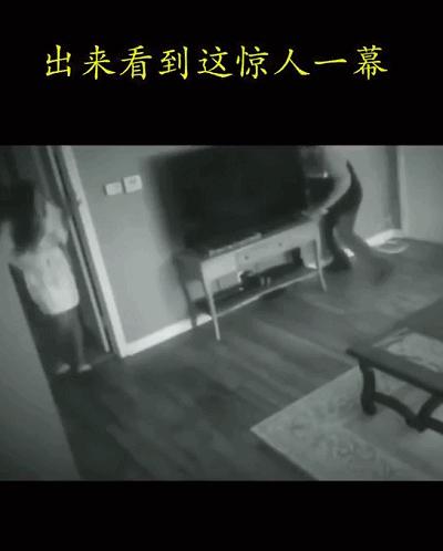 2019暖心故事：生活再苦，人间值得