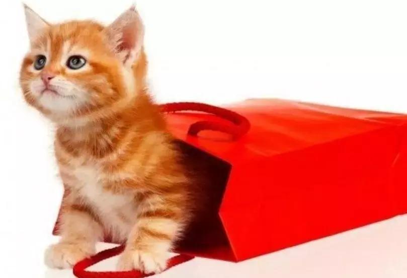 干得漂亮怎么说英语,干得漂亮语言