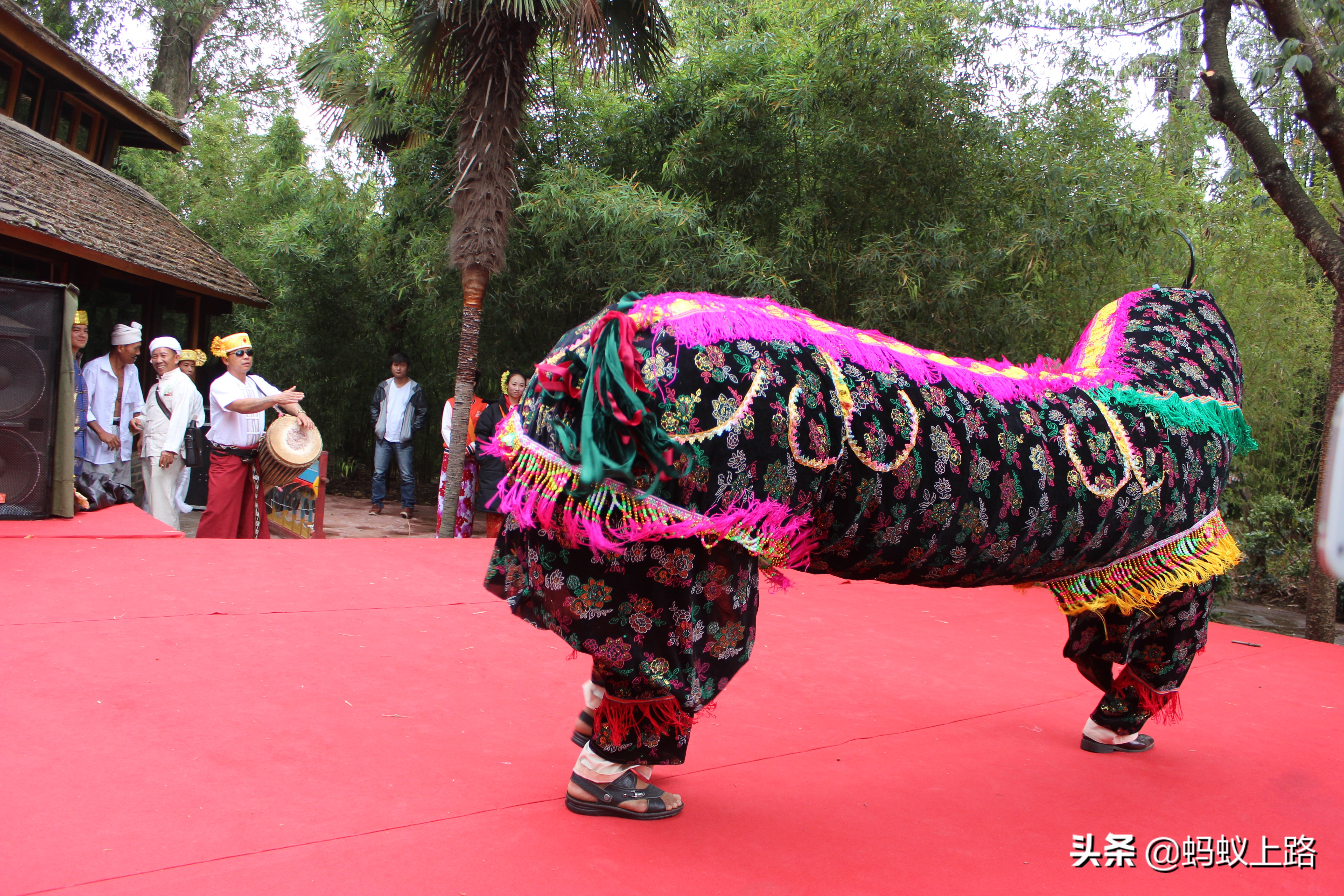 回顾傣族春节盛宴泼水节,云南省傣族泼水节4月几日开始