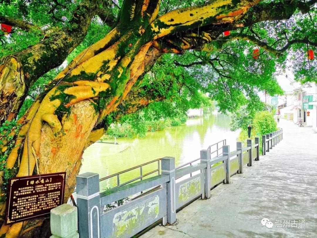 千年古村平阳县鸣山村古城夜景,平阳昆阳鸣山古村落