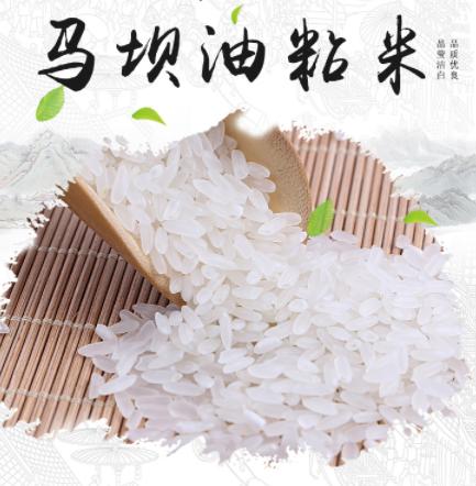 游四方全部视频,游四方四川