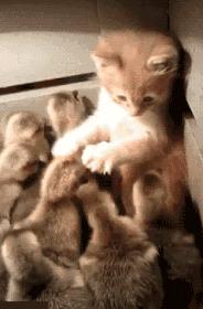 鸡皮肤怎么改造好看,鸡皮肤真难看到底应该怎么办