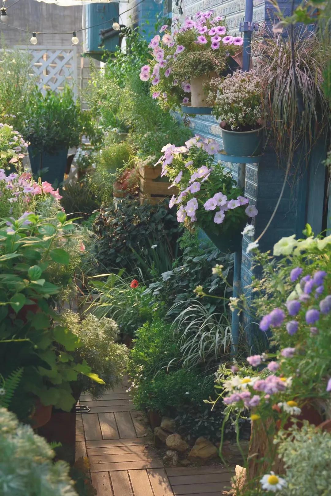 90后男孩住进郊区老屋，徒手打造400㎡自然花园，里面装满小精灵