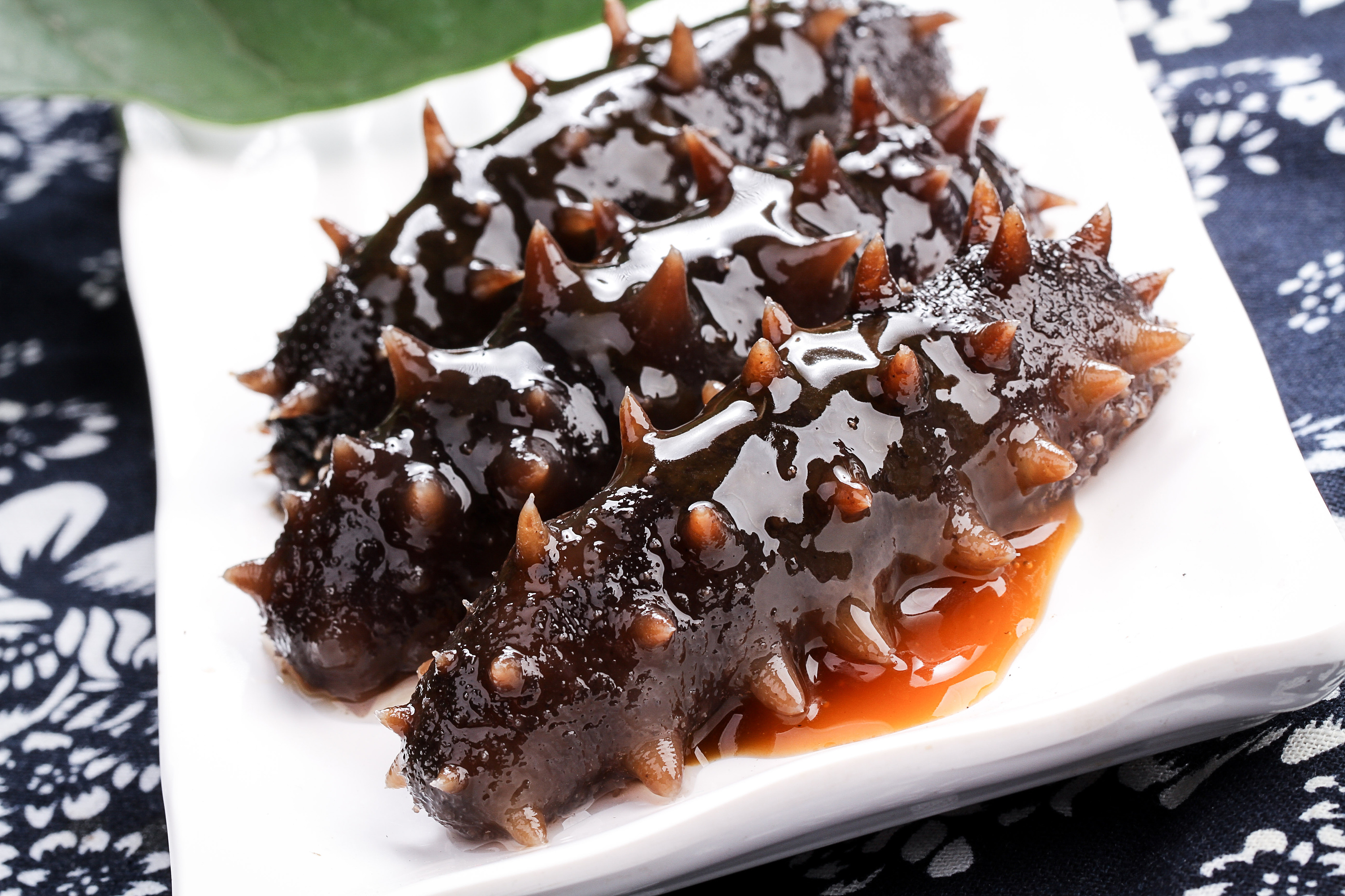 买海参都问什么问题 (买海参之前必须要了解的几件事)