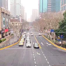 立秋，立秋！这43件事，上海人必须要去做