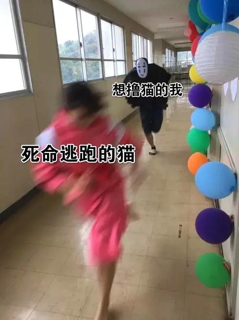 卑微的两脚兽，欢迎来到喵星人的世界