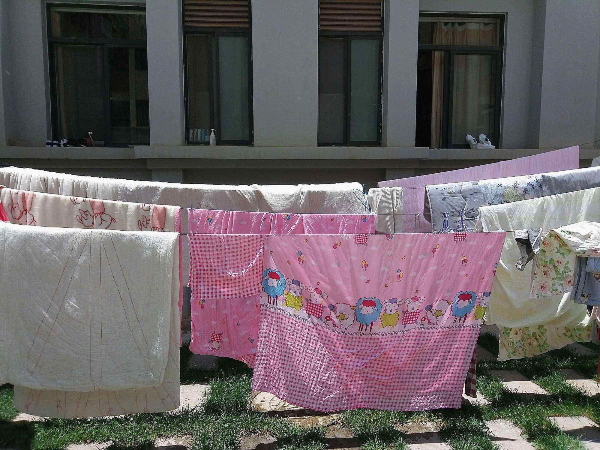 毛孔被油脂堵塞,毛孔被毛发堵塞