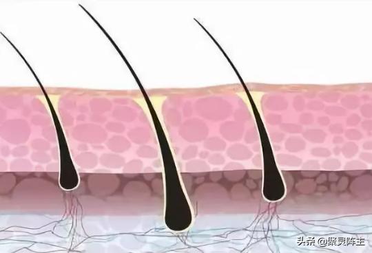 防脱固发洗发液测评,霸王防脱洗发水头发乌黑
