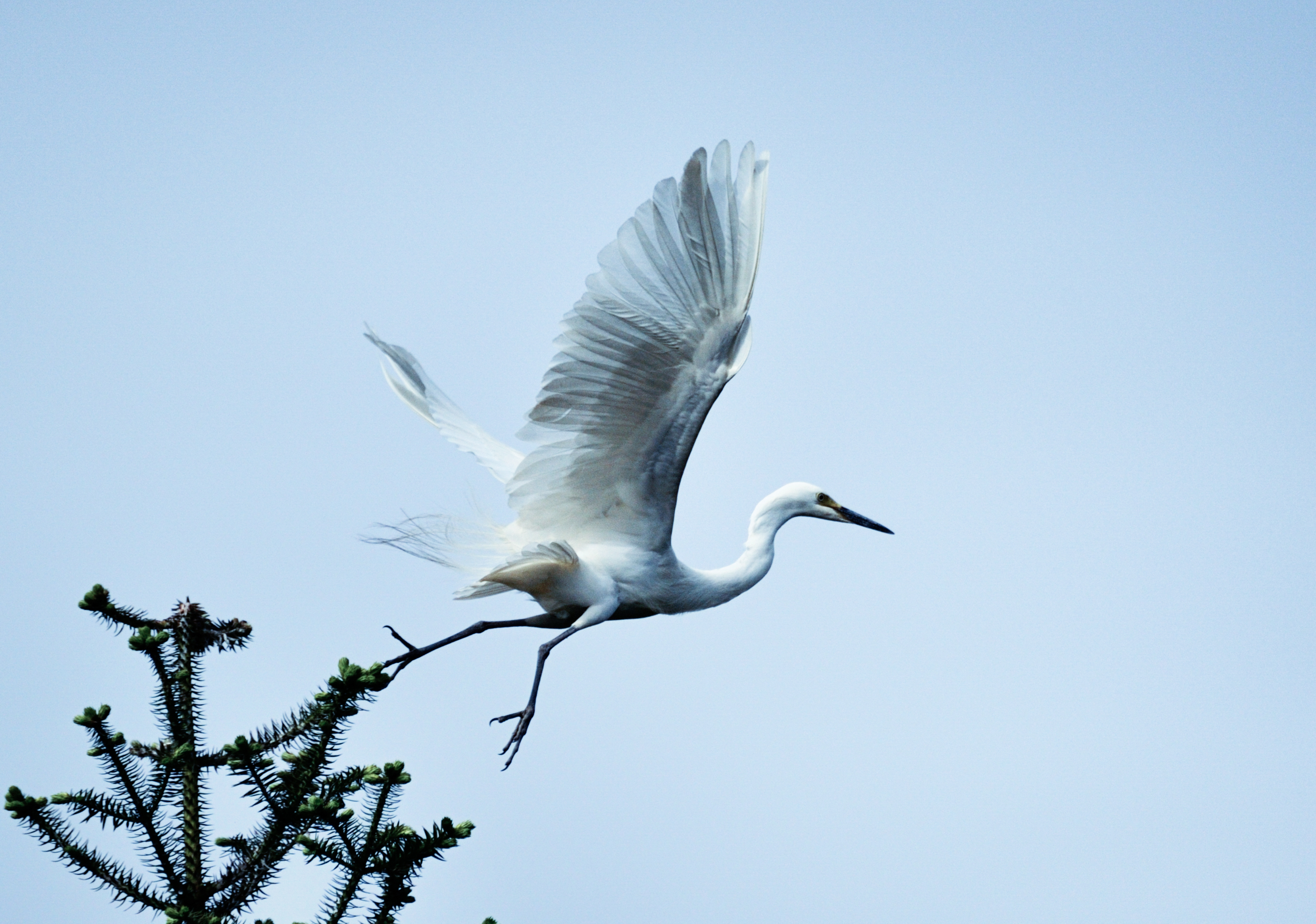 我与尼康北京行,尼康70-300mmf4.5-5.6g画质