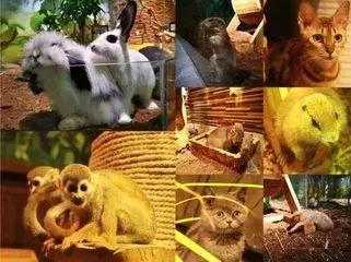 正弘城郑州消费高吗,正弘城为何人多