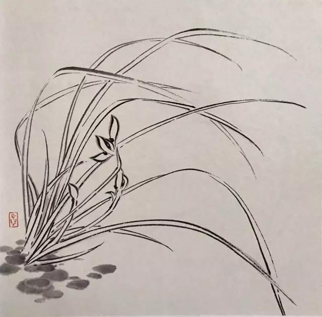 国画兰花绘画图,简单国画兰花画法教程