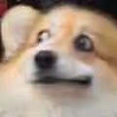 csgo皮肤不使用问题,csgo皮肤没有怎么办