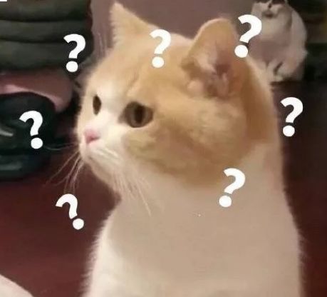 颜如晶肖骁一起参加了什么节目,奇葩说肖骁哪一集说喜欢颜如晶