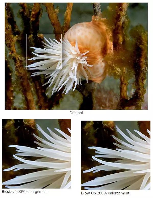 如何正确使用ai画图,如何快速用ai软件绘图