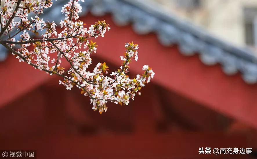 南充著名小镇,南充最美小镇