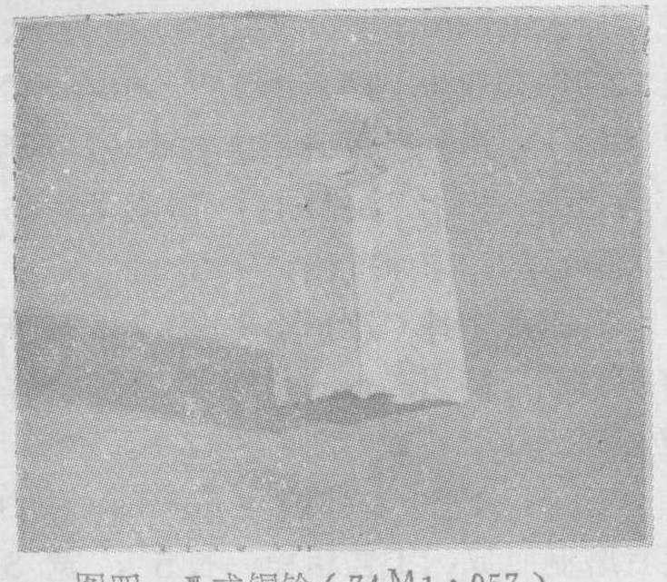 陕西户县南关春秋秦墓清理记