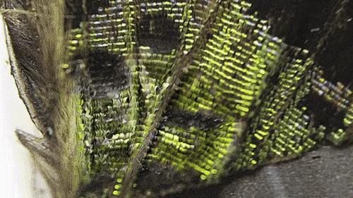 小米便携式显微镜,堪比望远镜的手机2000以下