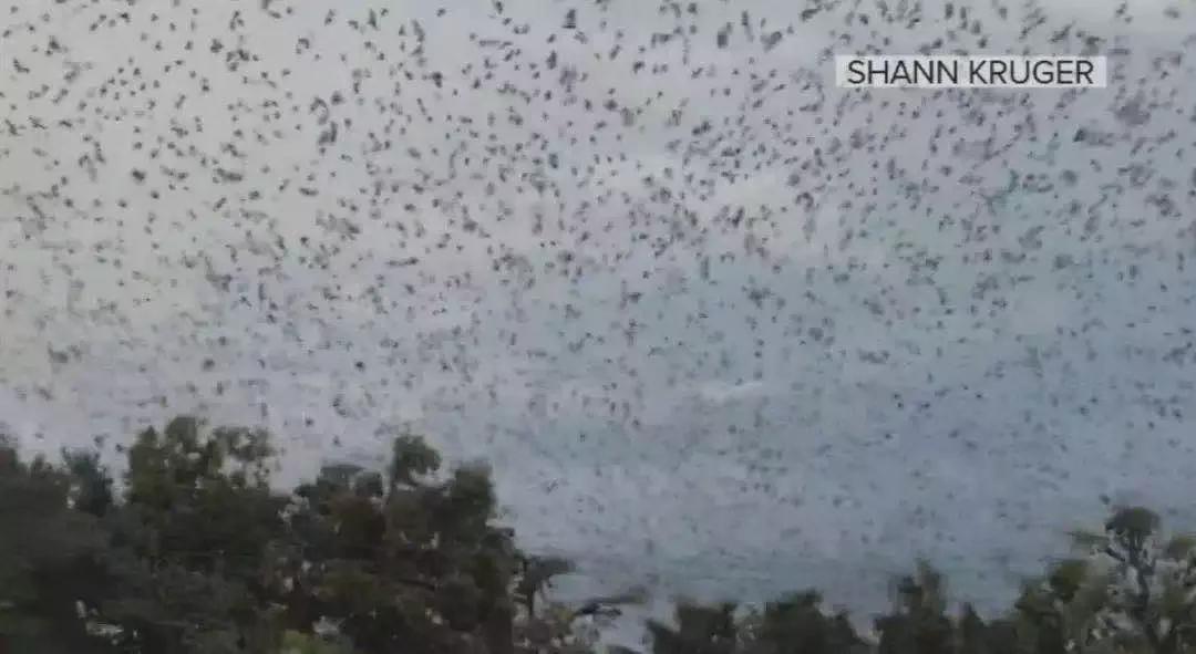 15岁怀孕的她，被骗吃下*药炸**，无辜去世：生而为人，有些人却不配