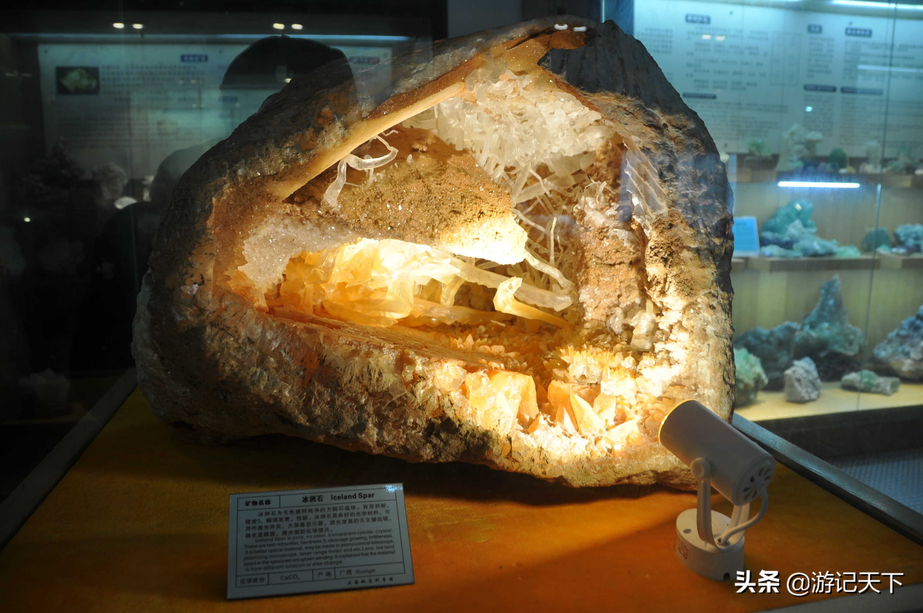 阿尼亚参观博物馆,上海地质科普馆游玩