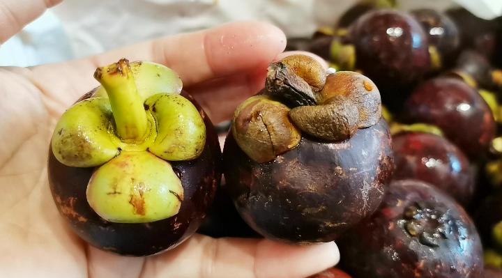 打开山竹原来这么简单,山竹的正确打开方式和技巧