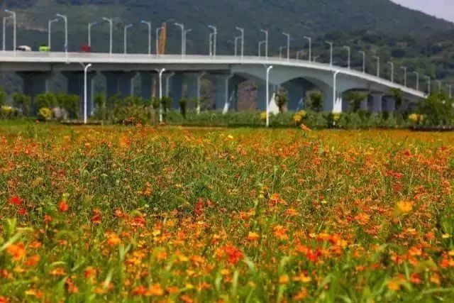 北仑旅游攻略大全集,北仑旅游攻略